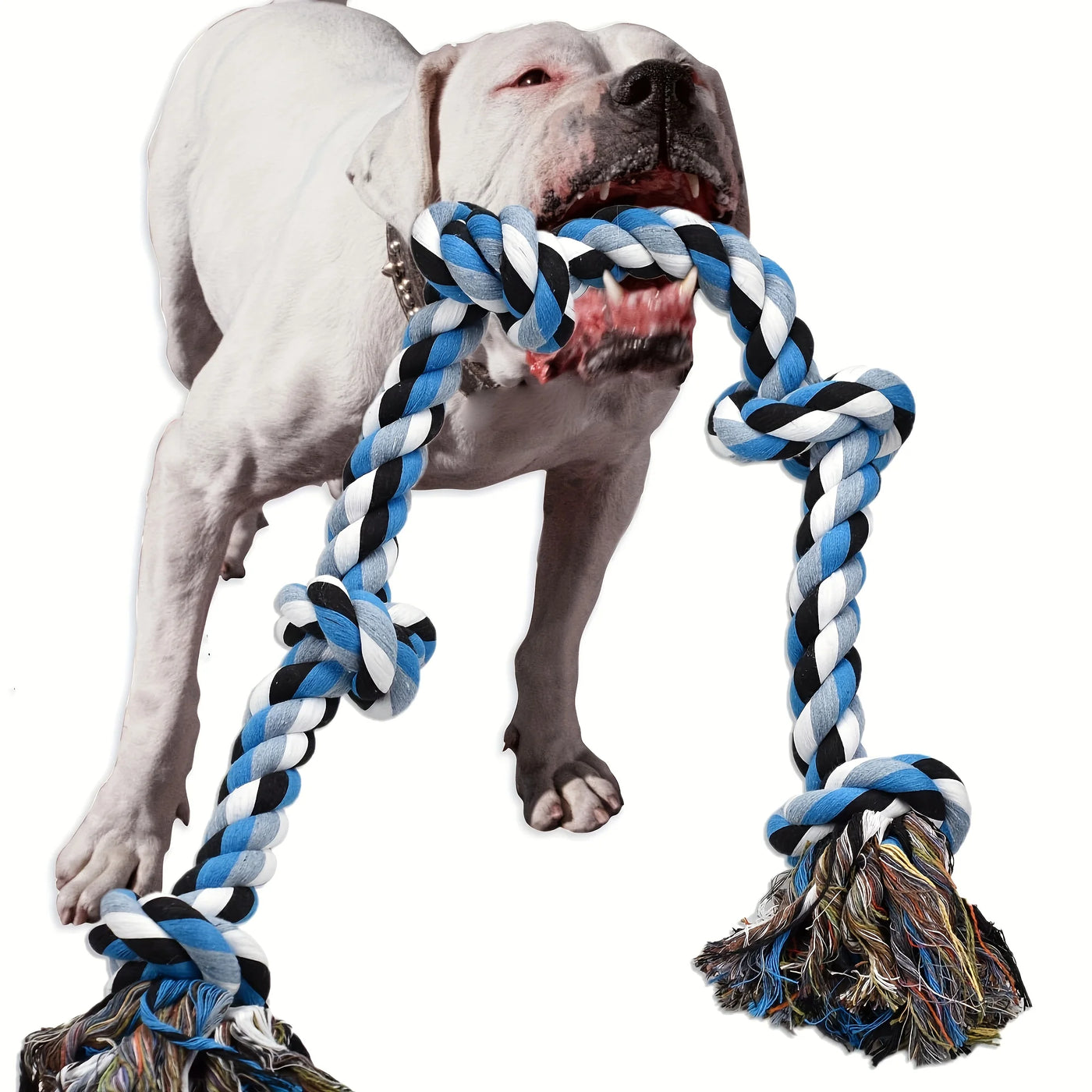 Heavy-Duty Rope Toy
