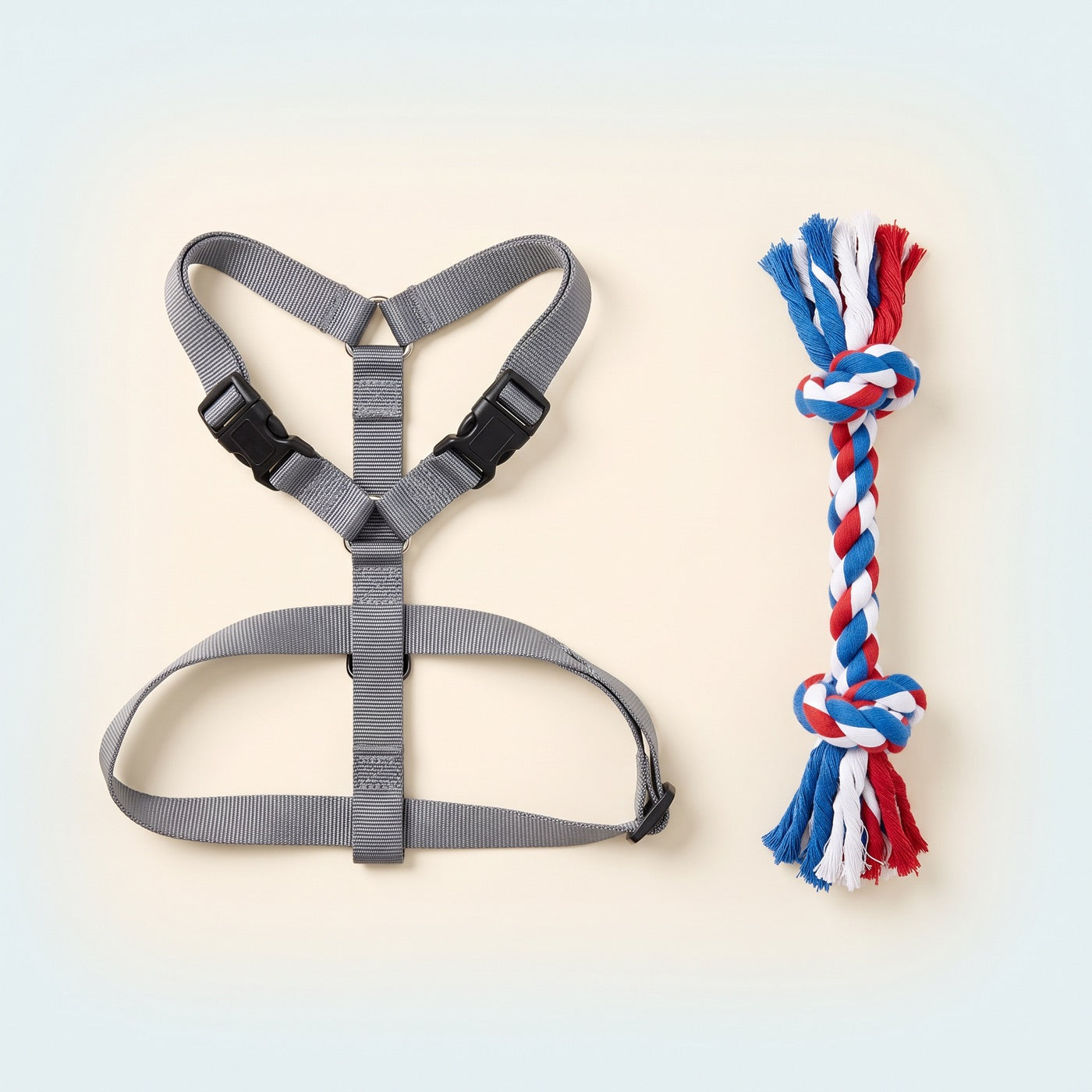 Harness with the heavy-duty rope toy